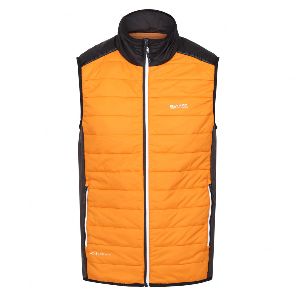 Halton B/W VII - Herren Gilet | mit Stretcheinsätzen - Orange OrangPep/Blk Bild 5