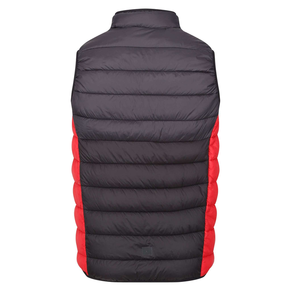 Harrock B/W II - Herren Gilet | mit synthetischer Wattierung - Schwarz-Rot Ash/Black Bild 5
